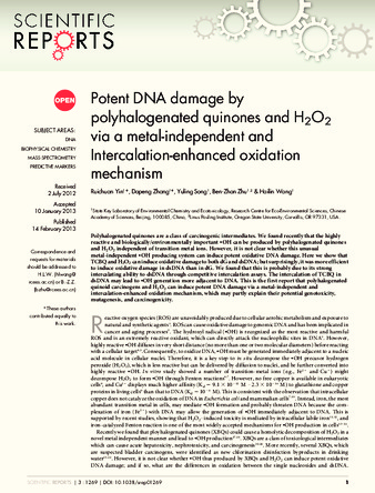 Potent DNA damage by polyhalogenated quinones and H₂O₂ via a metal-independent and Intercalation-enhanced oxidation mechanism thumbnail