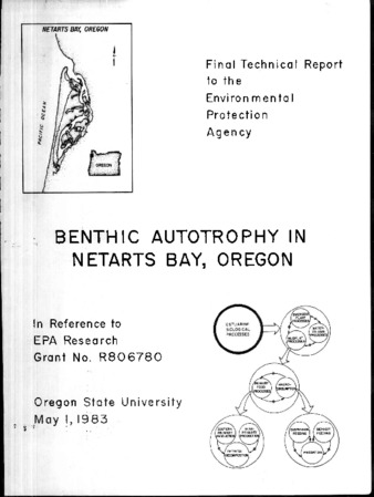 Benthic autotrophy in Netarts Bay, Oregon thumbnail