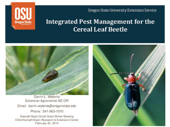 Integrated Pest Management for the Cereal Leaf Beetle thumbnail
