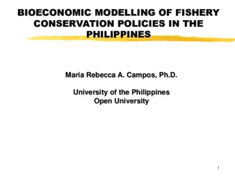 Bioeconomic Modelling of Fishery Conservation Policies in the Philippines thumbnail