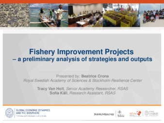 Fishery Improvement Projects - A Preliminary Analysis of Strategies and Outputs thumbnail
