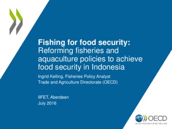 Fishing for Food Security: Reforming Fisheries and Aquaculture Policies to Achieve Food Security in Indonesia thumbnail
