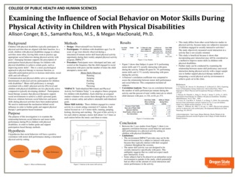Examining the influence of social behavior on motor skills during physical activity in children with physical disabilities miniatura
