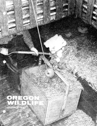 Oregon Wildlife; Vol. 31 No. 10 (October 1976) thumbnail