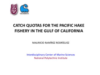 Catch Quotas for the Pacific Hake Fishery in the Gulf of California miniatura