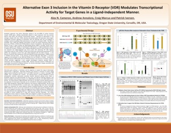 Alternative Exon 3 Inclusion in the Vitamin D Receptor (VDR) Modulates Transcriptional Activity for Target Genes in a Ligand-Independent Manner Miniaturansicht