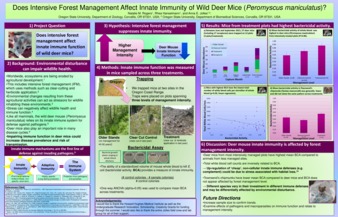 Does intensive forest management affect innate immunity of wild deer mice (Peromyscus maniculatus)? thumbnail
