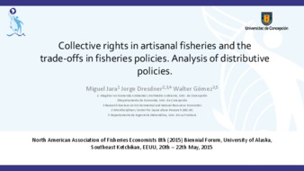 Collective Rights in Artisanal Fisheries and the Trade-Offs in Fisheries Policies: An Analysis of Distributive Policies miniatura