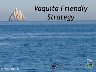 Vaquita Friendly Strategy thumbnail