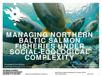 Managing Northern Baltic Salmon Fisheries under Social-Ecological Complexity thumbnail