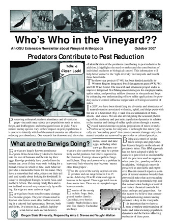 Who’s Who in the Vineyard?? : October 2007 thumbnail