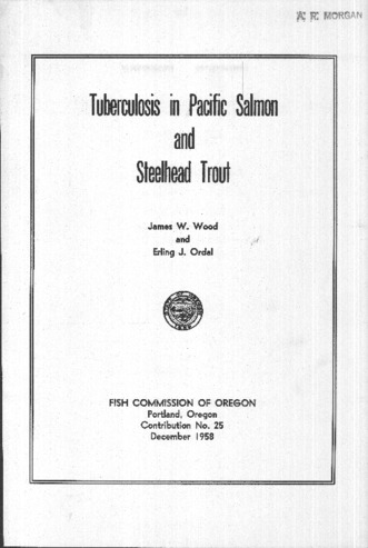 Tuberculosis in Pacific salmon and steelhead trout thumbnail