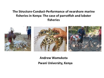 The Structure-Conduct-Performance of Nearshore Marine Fisheries in Kenya: The Case of Parrotfish and Lobster Fisheries thumbnail
