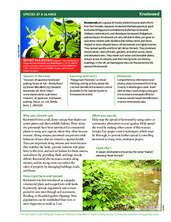 Aquatic Invasions! A Menace to the West : Knotweed Species Guide Miniaturansicht