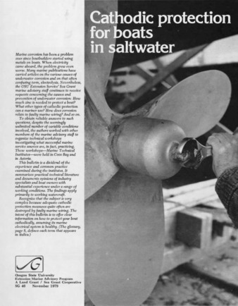 Cathodic protection for boats in saltwater thumbnail