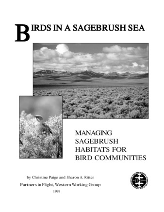 Birds in a sagebrush sea: managing sagebrush habitats for bird communities thumbnail