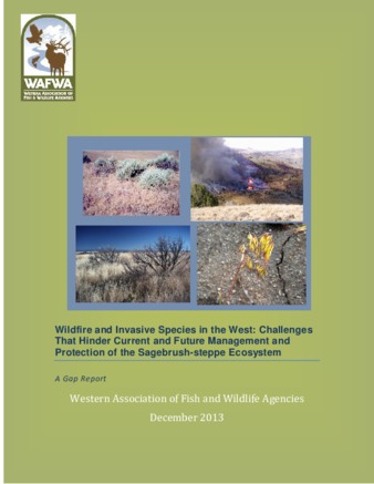 Wildfire and Invasive Species in the West: Challenges That Hinder Current and Future Management and Protection of the Sagebrush-steppe Ecosystem - A Gap Report thumbnail