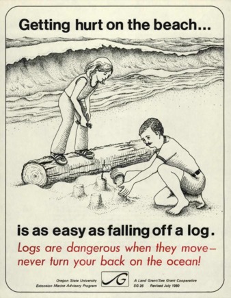 Getting hurt on the beach is as easy as falling off a log : logs are dangerous when they move : never turn your back on the ocean! thumbnail