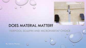 Does material matter? Tidepool sculpin and microhabitat choice thumbnail