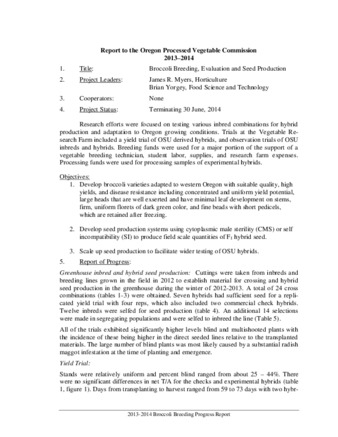 Broccoli Breeding, Evaluation and Seed Production : Report to the Oregon Processed Vegetable Commission, 2013-2014 thumbnail