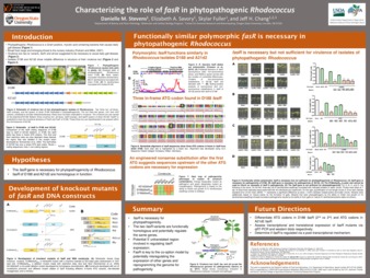 Characterizing the role of fasR in phytopathogenic Rhodococcus miniatura