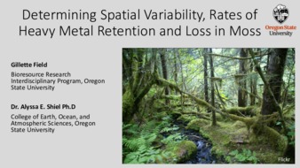 Determining Spatial Variability, Rates of Heavy Metal Retention and Loss in Moss 缩图