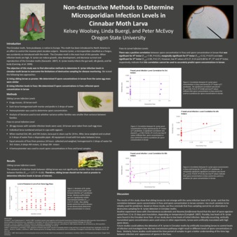 Non-destructive methods to determine microsporidian infection levels in cinnabar moth larva miniatura