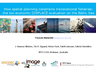 Supporting bio-economic evaluation of spatial planning constraining fishing activities: be quantitative, spatially-explicit, vessel-oriented, stochastic, and dynamically coupled to fish populations Miniatura