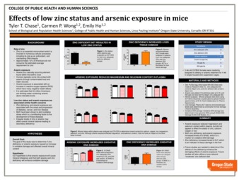 Effects of low zinc status and arsenic exposure in mice Miniaturansicht
