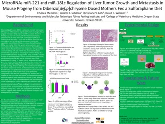 MicroRNAs miR-221 and miR-181c regulation of liver tumor growth and metastasis in mouse progeny from Dibenzo[def,p]chrysene dosed mothers fed a sulforaphane diet Miniaturansicht