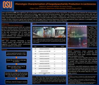 Phenotypic Characterization of Exopolysaccharide Production in Lactococcus thumbnail