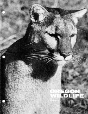 Oregon Wildlife; Vol. 32 No. 5 (May 1977) thumbnail