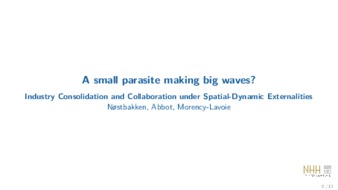 A Small Parasite Making Big Waves: Industry Consolidation and Collaboration under Spatial-Dynamic Externalities miniatura