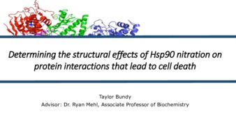 Determining the structural effects of Hsp90 nitration on protein interactions that lead to cell death thumbnail