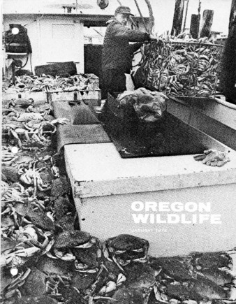 Oregon Wildlife; Vol. 33 No. 1 (January 1978) thumbnail