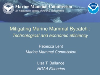 Mitigating Marine Mammal Bycatch: Technological and Economic Efficiency thumbnail