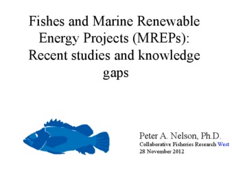 The Interaction of Pelagic, Migratory and Protected Fishes with Marine Renewable Energy Projects: Recent Studies and Knowledge Gaps thumbnail