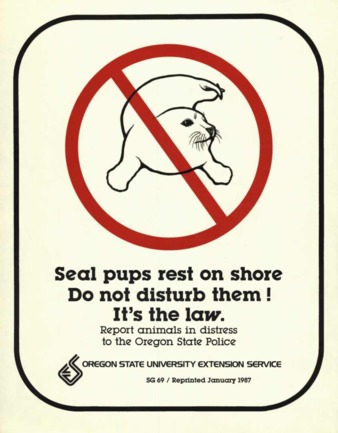 Seal pups rest on shore : do not disturb them! : it's the law [1987] thumbnail