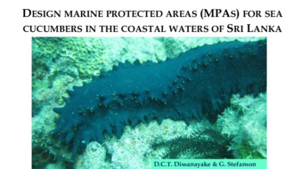 Design Marine Protected Areas (MPAs) for Sea Cucumbers in the Coastal Waters of Sri Lanka thumbnail