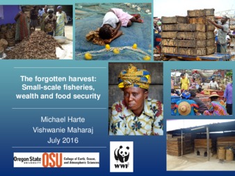 The Forgotten Harvest: Small-scale Fisheries, Wealth and Food Security   thumbnail