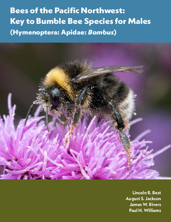 Bees of the Pacific Northwest : key to bumble bee species for males (Hymenoptera : Apidae : Bombus) thumbnail