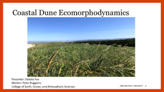 Coastal Dune Ecomorphodynamics la vignette