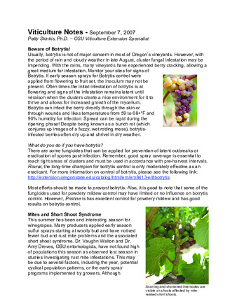 Viticulture Notes : September 7, 2007 thumbnail