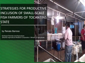 Strategies for Market Inclusion of Small Scale Fish Farmers of the Tocantins State / Brazil Miniatura