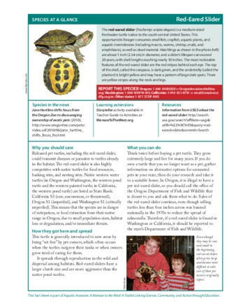 Aquatic Invasions! A Menace to the West : Red-Eared Slider Species Guide Miniaturansicht