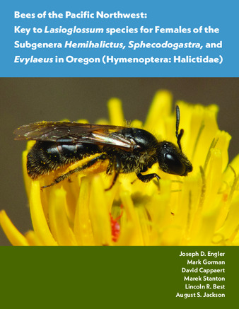 Bees of the Pacific Northwest : key to Lasioglossum species for females of the subgenera Hemihalictus, Sphecodogastra, and Evylaeus in Oregon (Hymenoptera : Halictidae) thumbnail