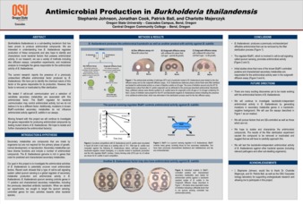 Antimicrobial Production in Burkholderia thailandensis Miniaturansicht