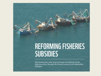 Reforming Fisheries Subsidies thumbnail