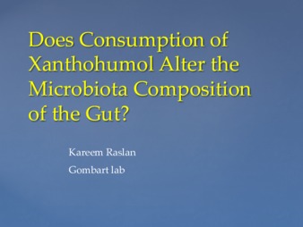 Does Consumption of Xanthohumol Alter the Microbiota Composition of the Gut? thumbnail