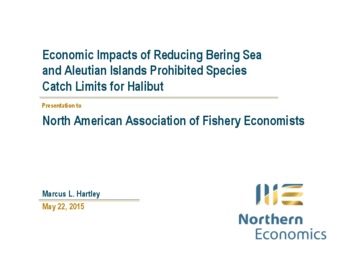 An Iterated Multiyear Simulation Model to Assess Impacts of Halibut Bycatch Limits miniatura